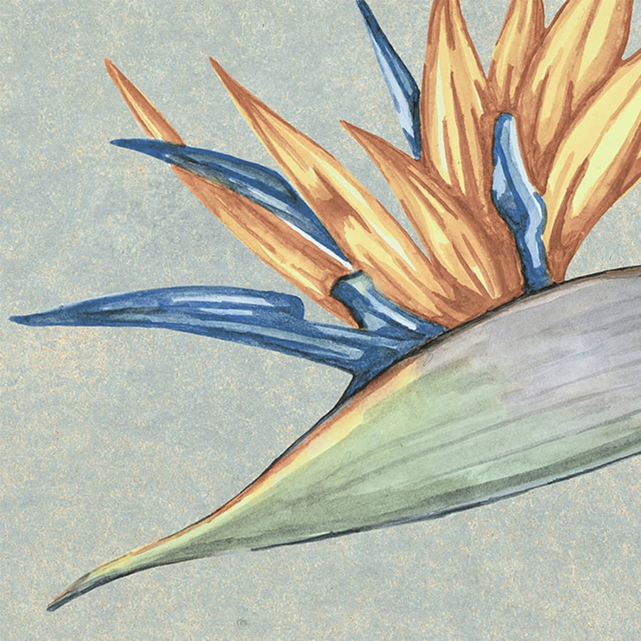 NUSA гранитогрес 25*25 CODICER 95 - Онлайн промоция - Image 4